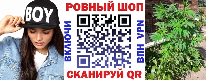 Наркошоп купить ГАШИШ  MDMA  Псилоцибиновые грибы  A PVP  Меф  COCAIN  Конопля  Севастополь